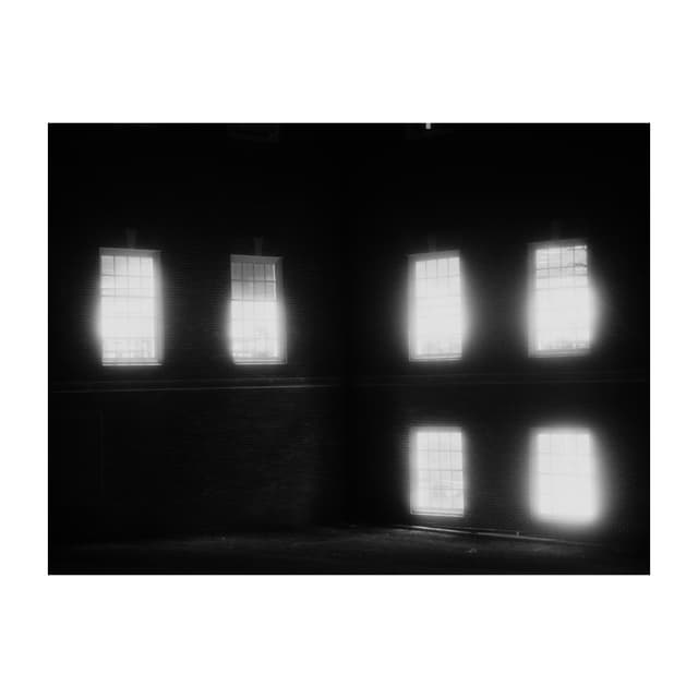 Library Windows